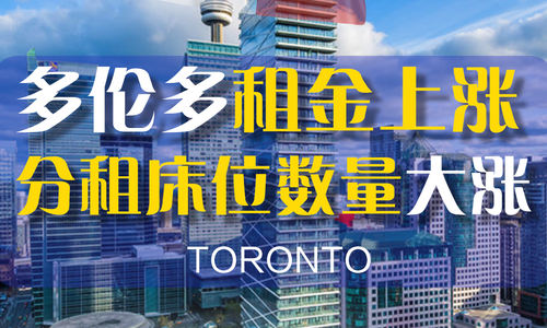 多伦多租金上涨，分租床位数量大涨