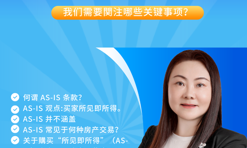 在購买纽约市的“所见即所得”（AS-IS）房产时，我们需要関注哪些关键事项？