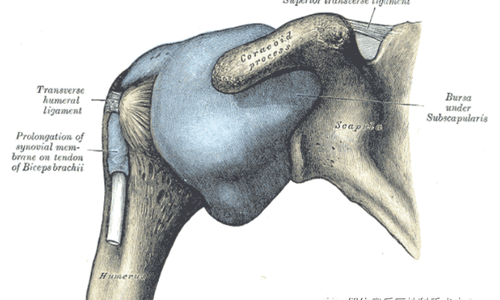關(guān)于 Frozen Shoulder的指南