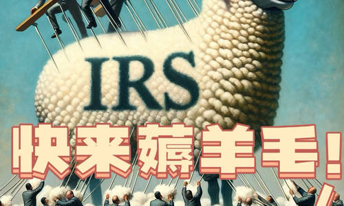 美丽国政 府又来送?啦 快来薅羊毛