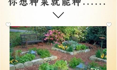 在美国自家后院，不是你想种菜就能种..