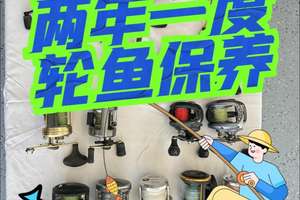 兩年一度輪魚保養(yǎng)