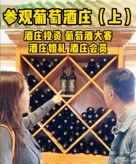 参观葡萄酒庄 上