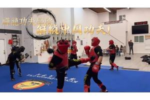 來禪龍功夫?qū)W院，成就堅(jiān)韌功夫少年