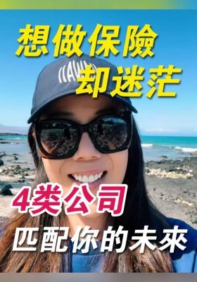 想做葆險(xiǎn)卻迷茫？4 類公司匹配你的未來(lái)