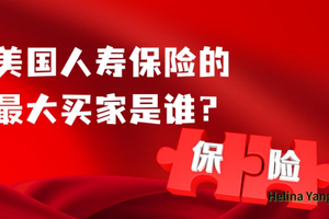 美國人壽保險的最大買家是誰？