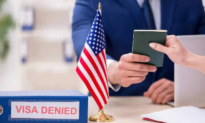 美国移民签证数据出炉！这两类华人获批最多！华人占70%！