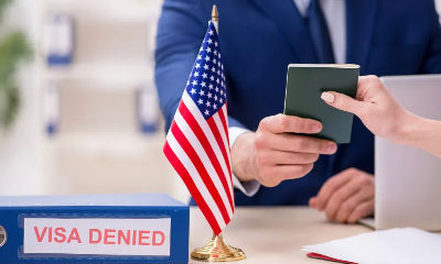 美国移民签证数据出炉！这两类华人获批最多！华人占70%！