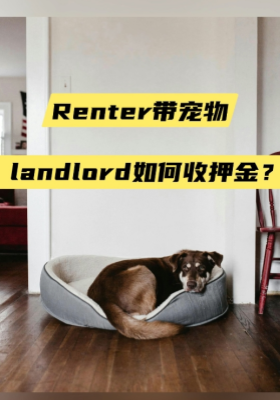 Renter带宠物，landlord如何收押金？