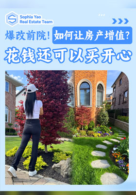 【爆改前院全过程！】房子升值+心情升级=超值无敌！