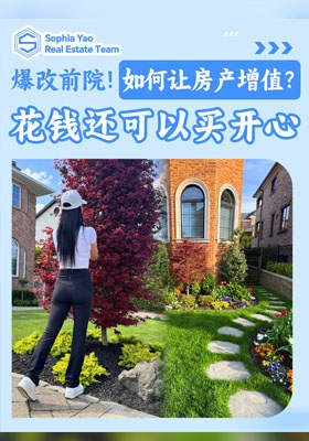 【爆改前院全过程！】房子升值+心情升级=超值无敌！