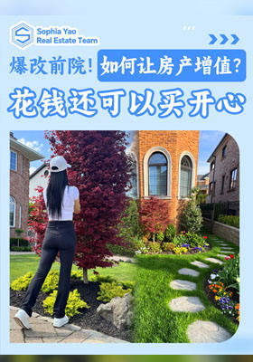 【爆改前院全过程！】房子升值+心情升级=超值无敌！