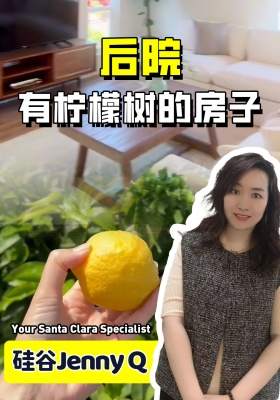 有柠檬树的后院