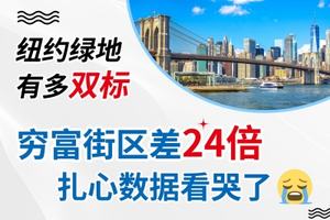 纽约绿地有多 “双标”？穷富街区差 24 倍！扎心数据看哭了