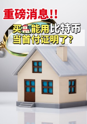 重磅消息！买房能用比特币当首付证明了？