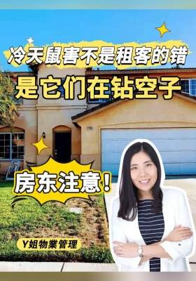 房东注意！冷天鼠害不是租客的错，是它们在 “钻空子”！
