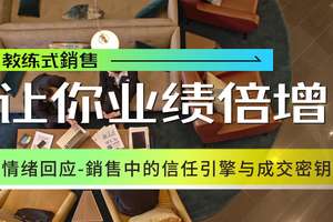 教练式销售：让您的业绩倍增