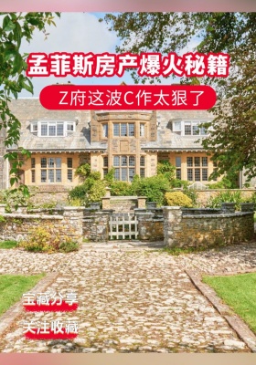 ? 孟菲斯房产爆火秘籍！Z府这波C作太狠了?