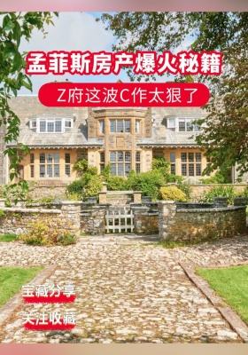 ? 孟菲斯房产爆火秘籍！Z府这波C作太狠了?