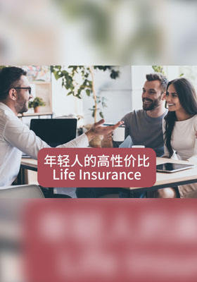 年轻人的高性价比人寿险