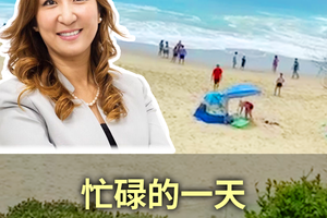 忙碌的一天