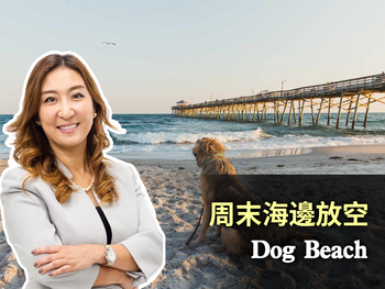 周末海邊放空DogBeach