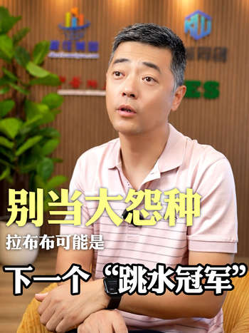 别当大怨种拉布布可能是下一个“跳水冠军”