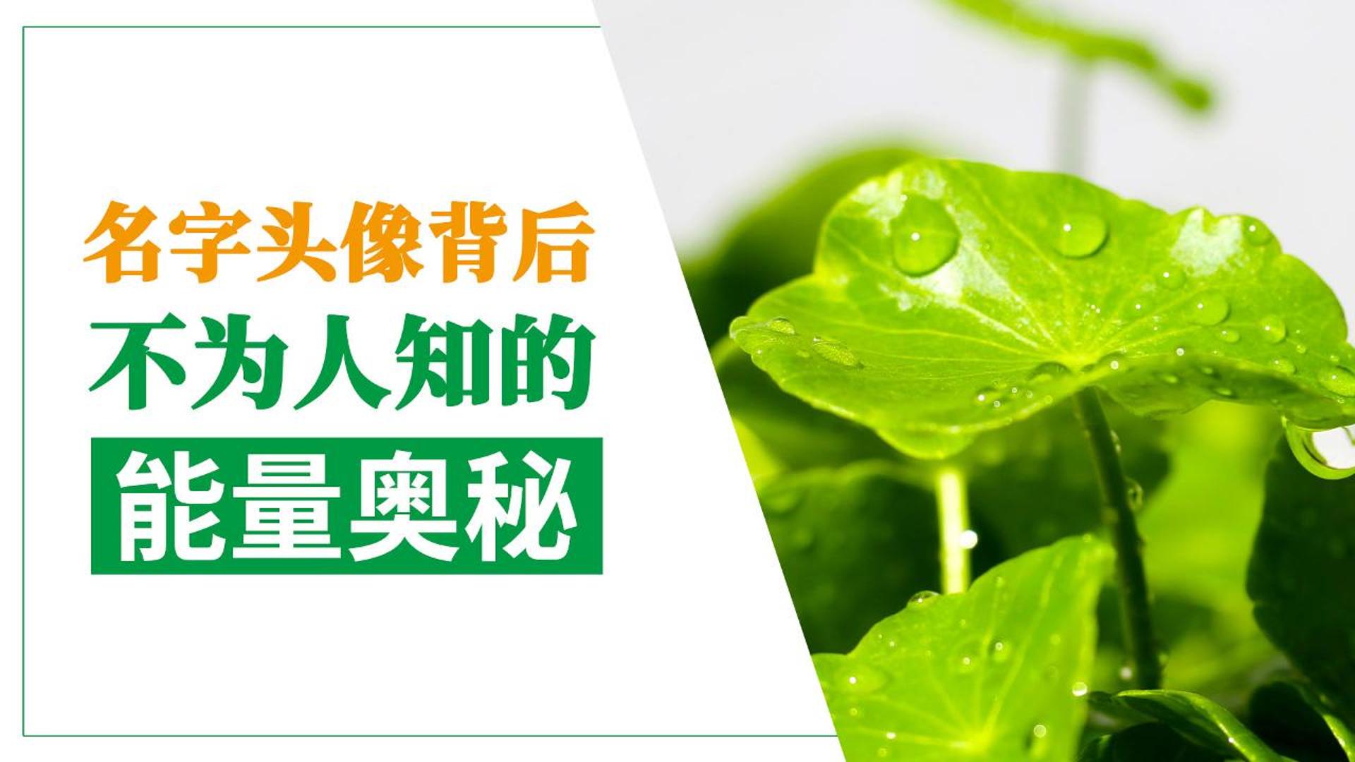 名字头像背后不为人知的能量奥秘