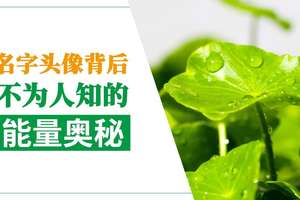 名字头像背后不为人知的能量奥秘