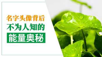 名字头像背后不为人知的能量奥秘