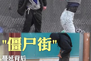 僵尸街蔓延背后，是自由还是失控