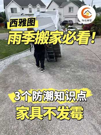 西雅图雨季搬家必看！3 个防潮知识点，家具不发霉