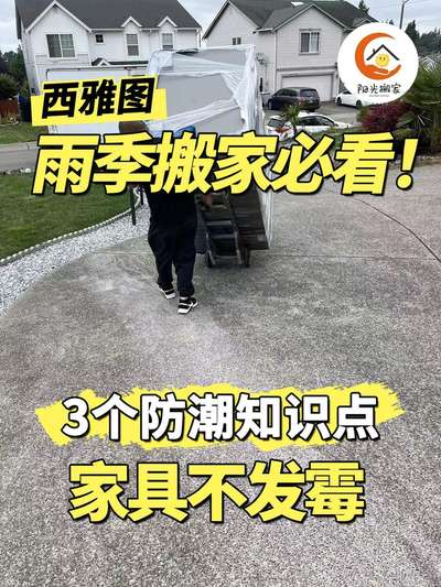 西雅图雨季搬家必看！3 个防潮知识点，家具不发霉