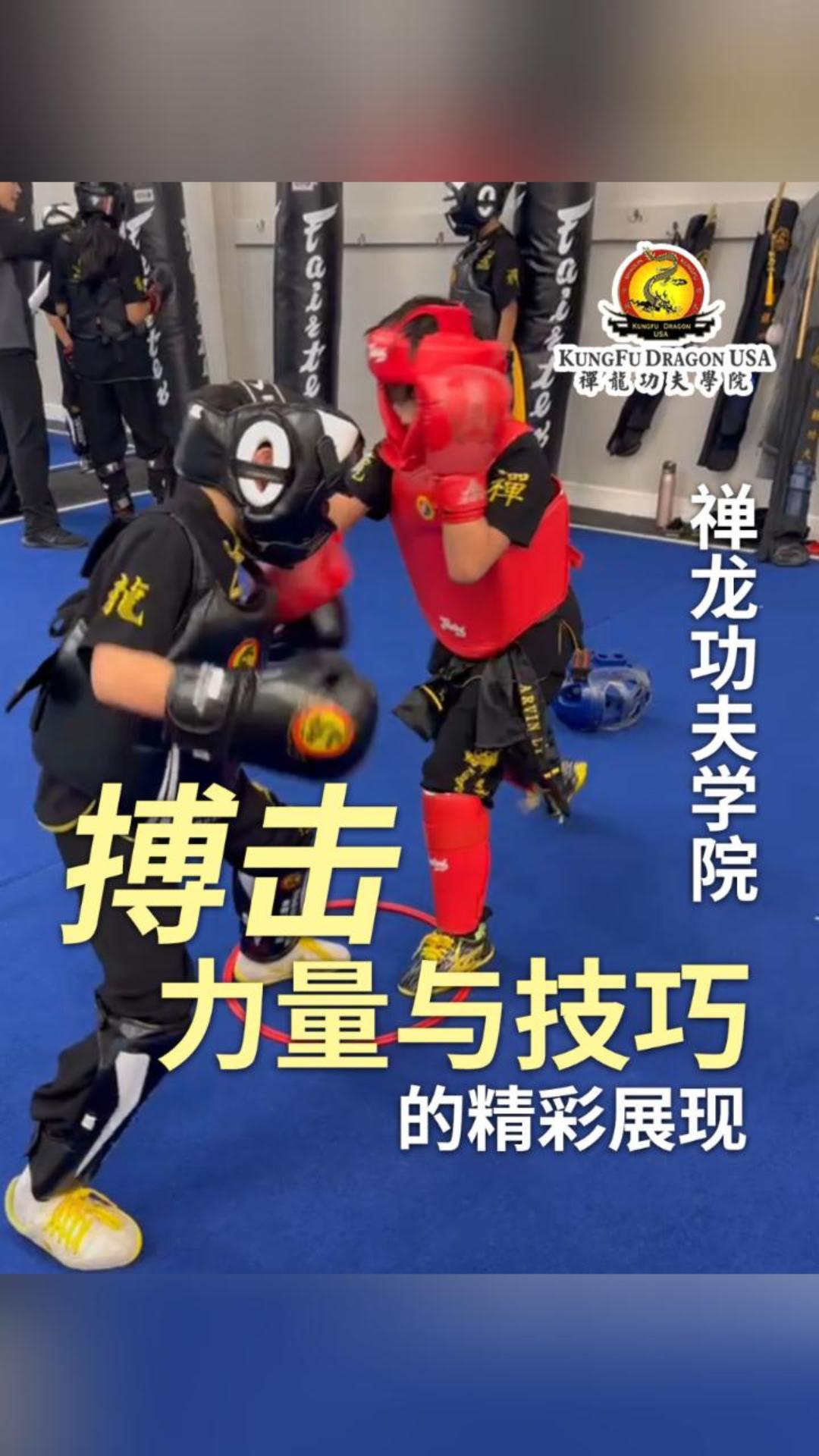 禅龙功夫学院搏击：力量与技巧的精彩展现