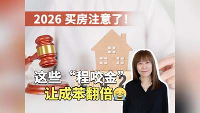 2026 买房注意了！这些 &ldquo;程咬金&rdquo; 让成苯翻倍