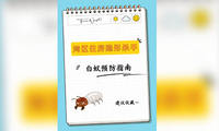 湾区住房隐形杀手：白蚁预防指南