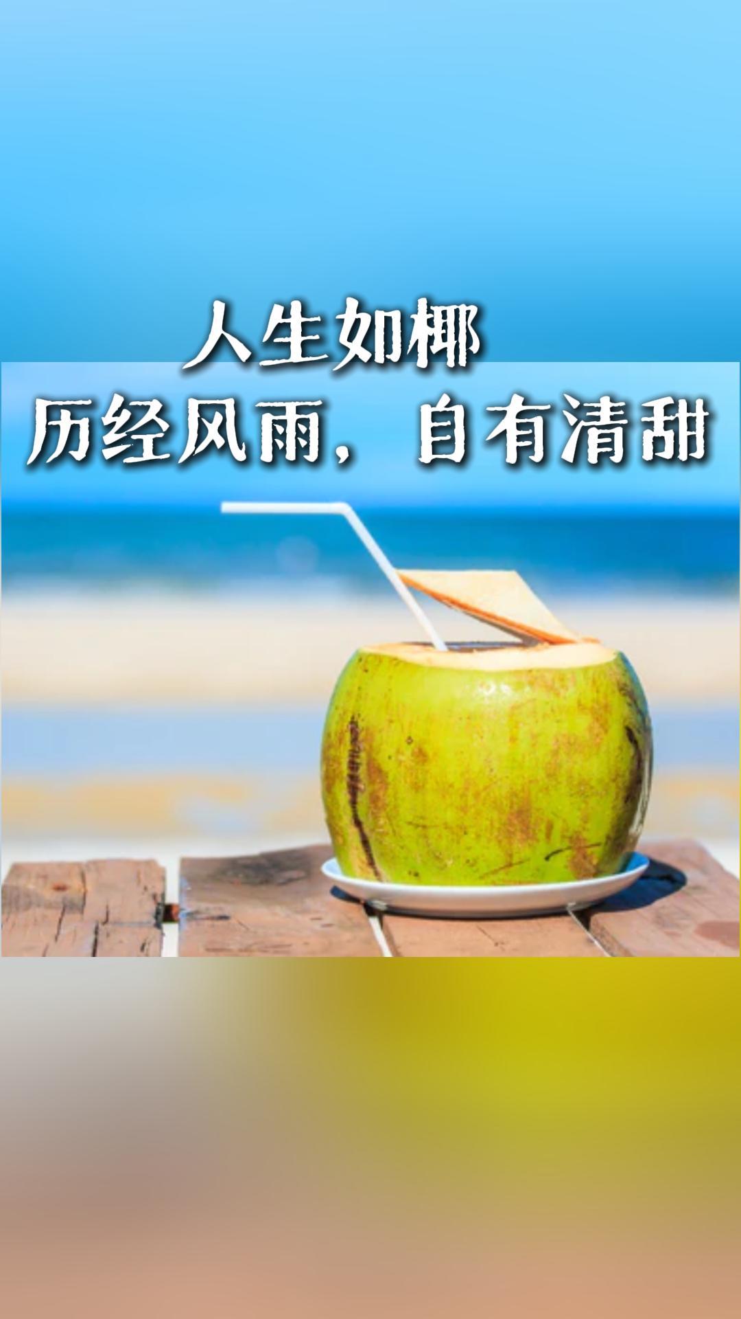 人生如椰，历经风雨，自有清甜
