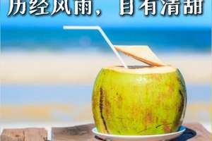 人生如椰，历经风雨，自有清甜