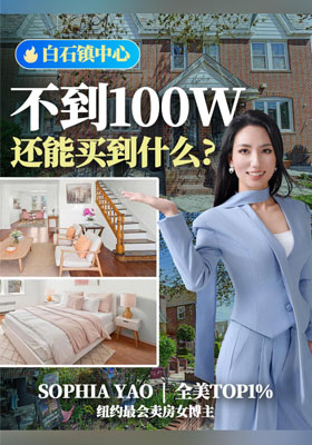 白石镇中心，不到100W，还能买到什么？