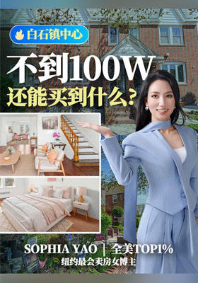 白石镇中心，不到100W，还能买到什么？