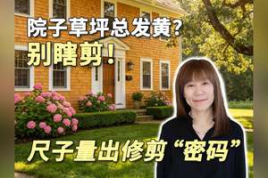 院子草坪总发黄？别瞎剪！尺子量出修剪 “密码”
