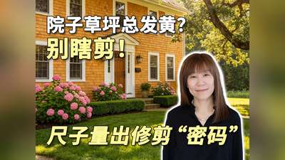 院子草坪总发黄？别瞎剪！尺子量出修剪 &ldquo;密码&rdquo;