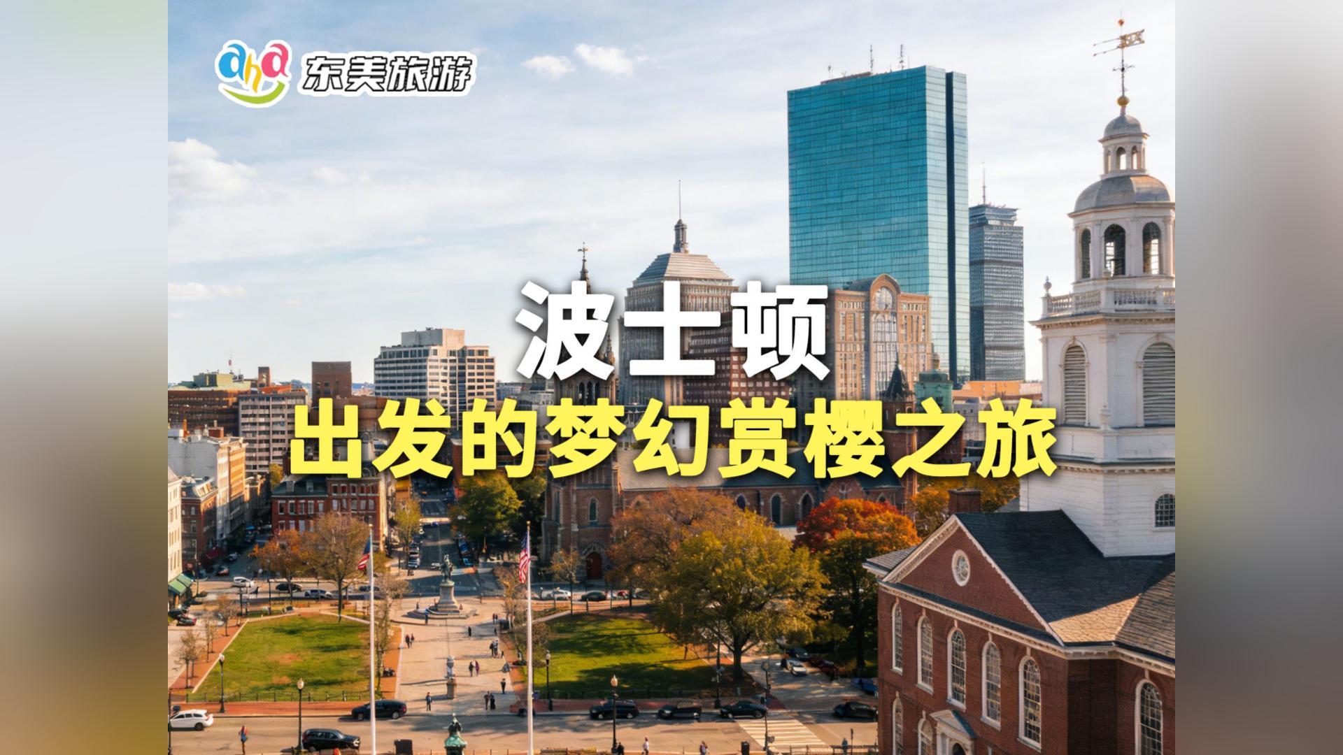 波士顿出发的梦幻赏樱之旅