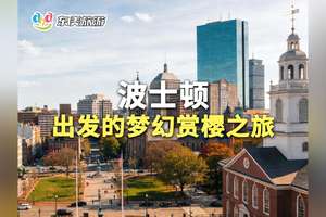 波士顿出发的梦幻赏樱之旅
