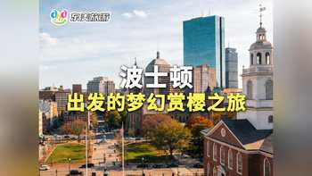 波士顿出发的梦幻赏樱之旅
