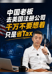 中国老板去美国注册公司千万不要想着只是省Tax