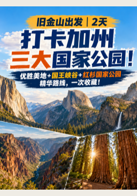 旧金山出发｜2天打卡加州三大国家公园！
