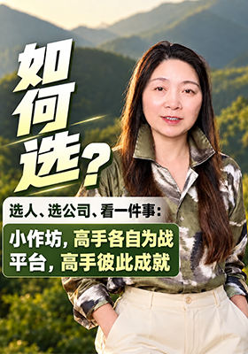 如何选？选人、选公司、看一件事：小作坊，高手各自为战平台，高手彼此成就